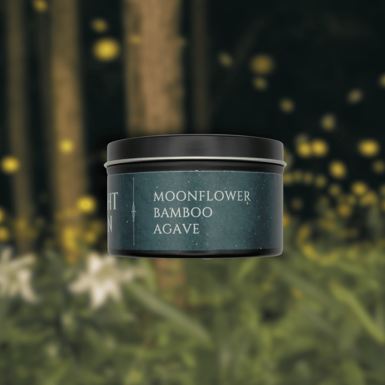Midnight Garden - Moonflower, Agave, Bamboo