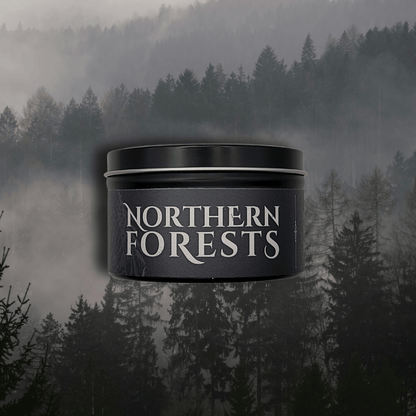 Northern Forests - Alpine Fog, Willow, Moss